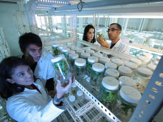 Researchers in a laboratory looking at specimens in jars.